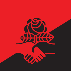 The DSA logo of a stylized handshake and rose, bisected diagonally, with the bottom right half colored black and the top left half colored black, as in an anarchist communist flag